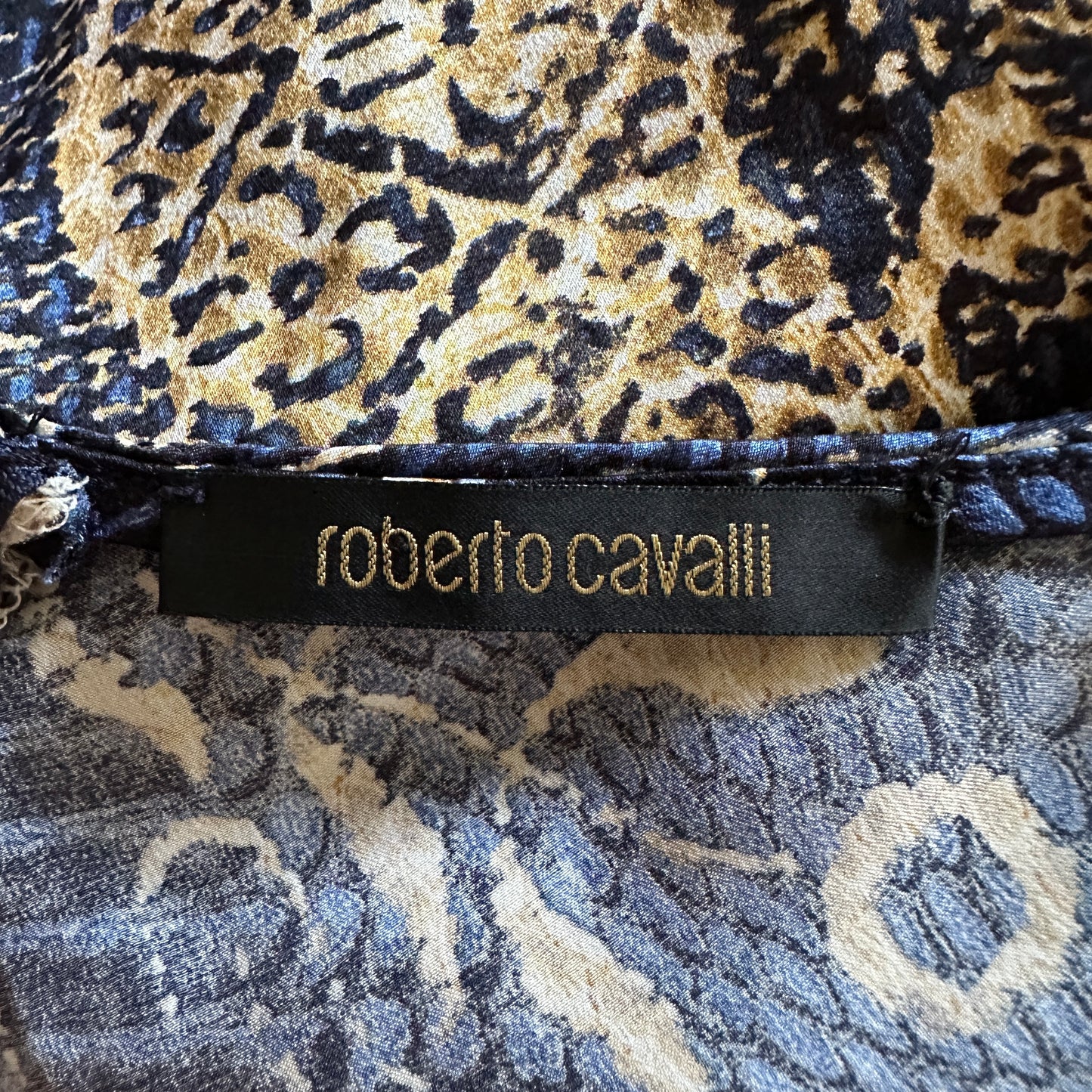 Roberto Cavalli 2005 Blue Print Silk Dress