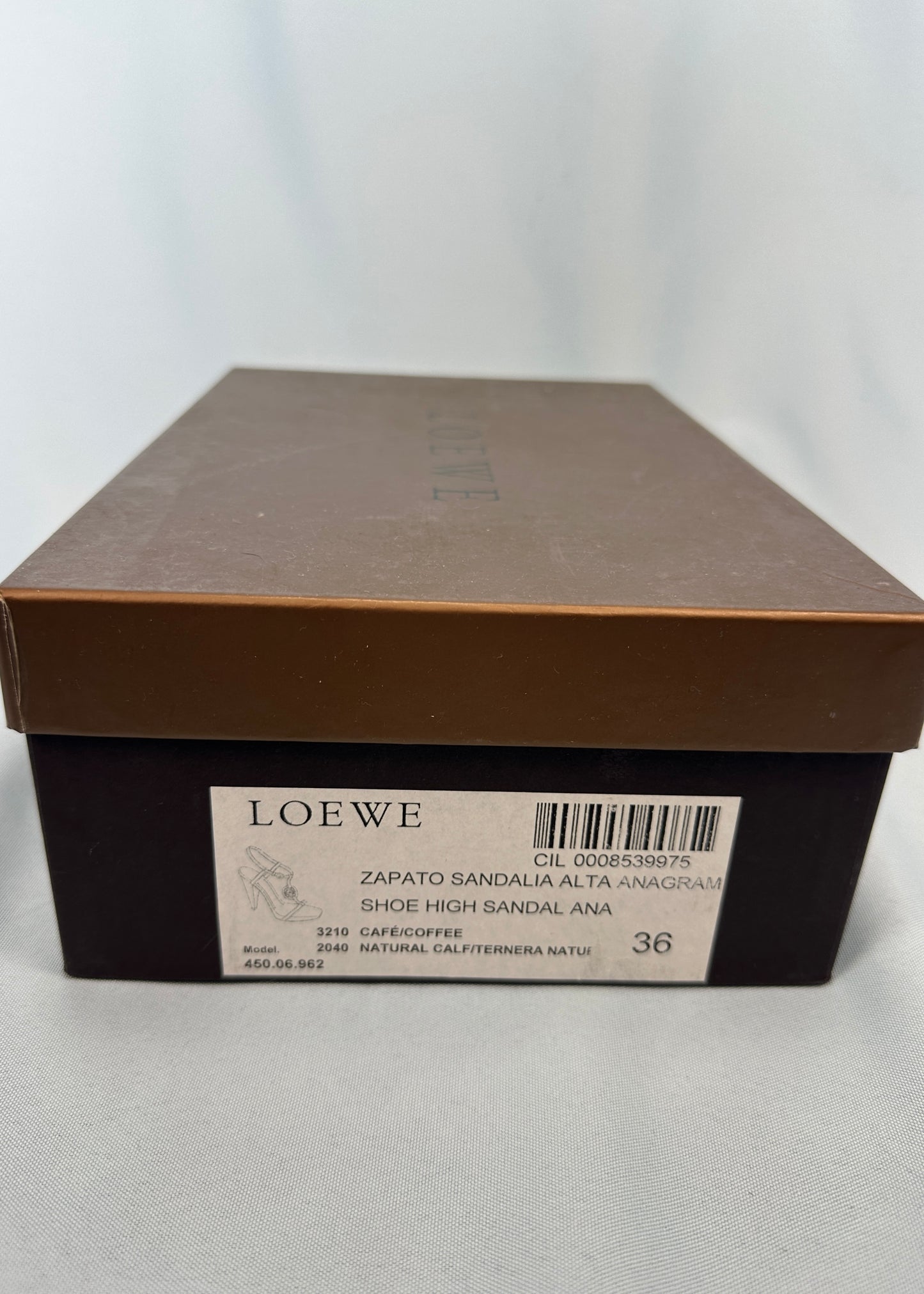 Loewe Leather Strappy Logo Heels