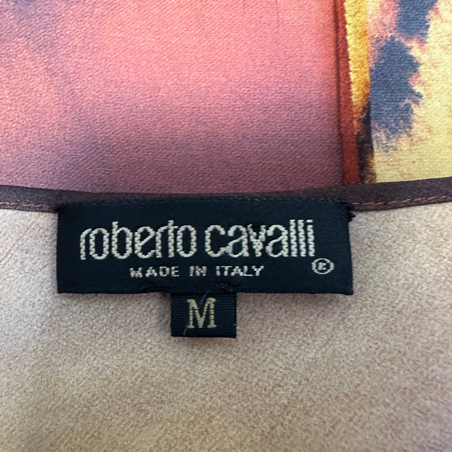 Roberto Cavalli Fall 2000 Silk Tiger Print Dress & Fur Trim Shawl