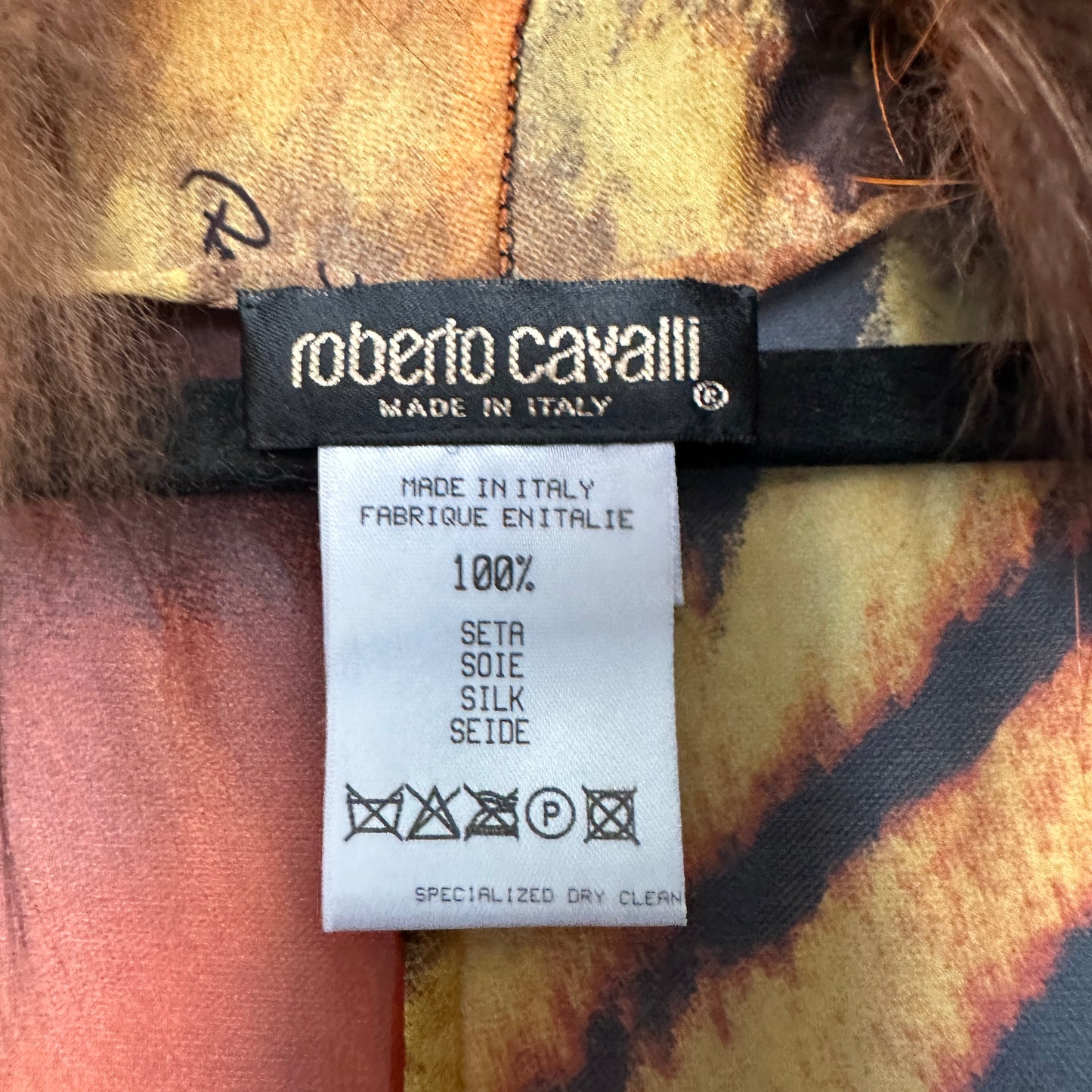 Roberto Cavalli Fall 2000 Silk Tiger Print Dress & Fur Trim Shawl