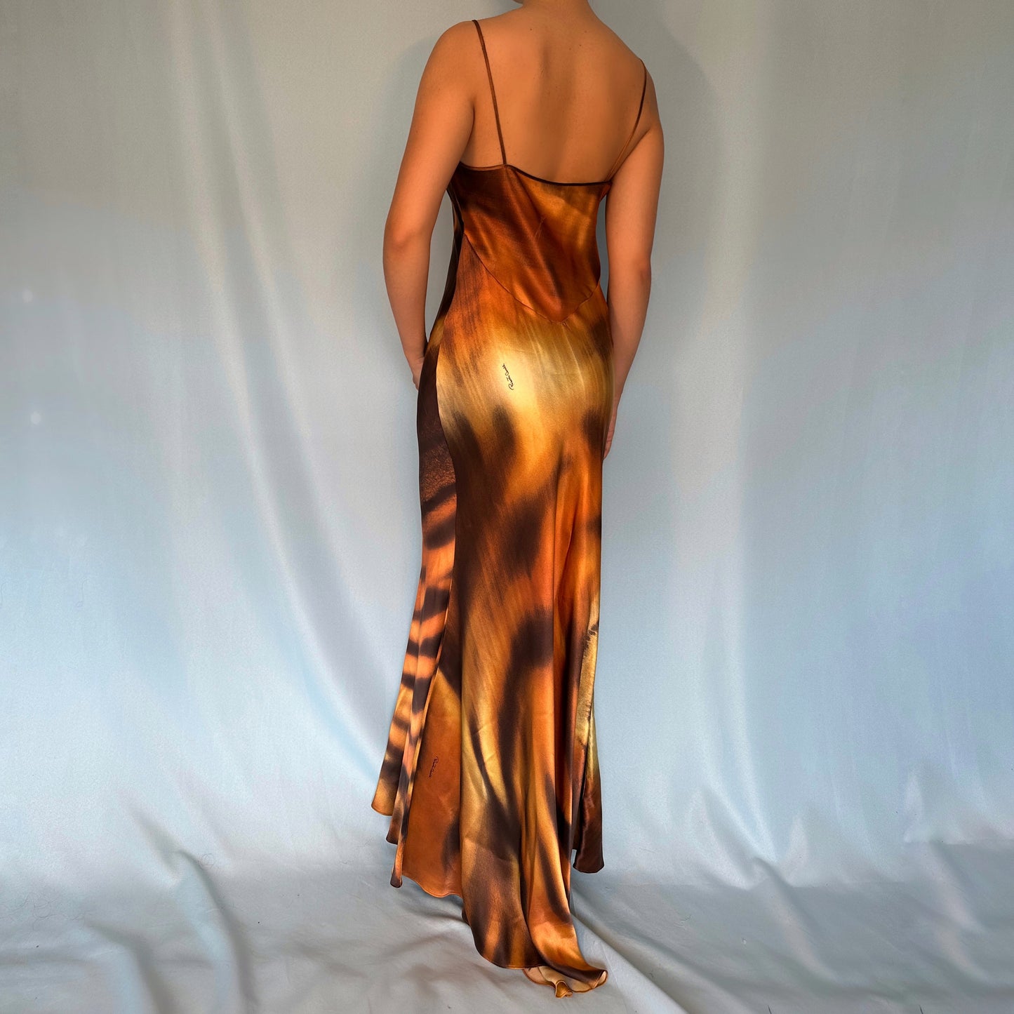 Roberto Cavalli Fall 2000 Silk Tiger Print Dress & Fur Trim Shawl