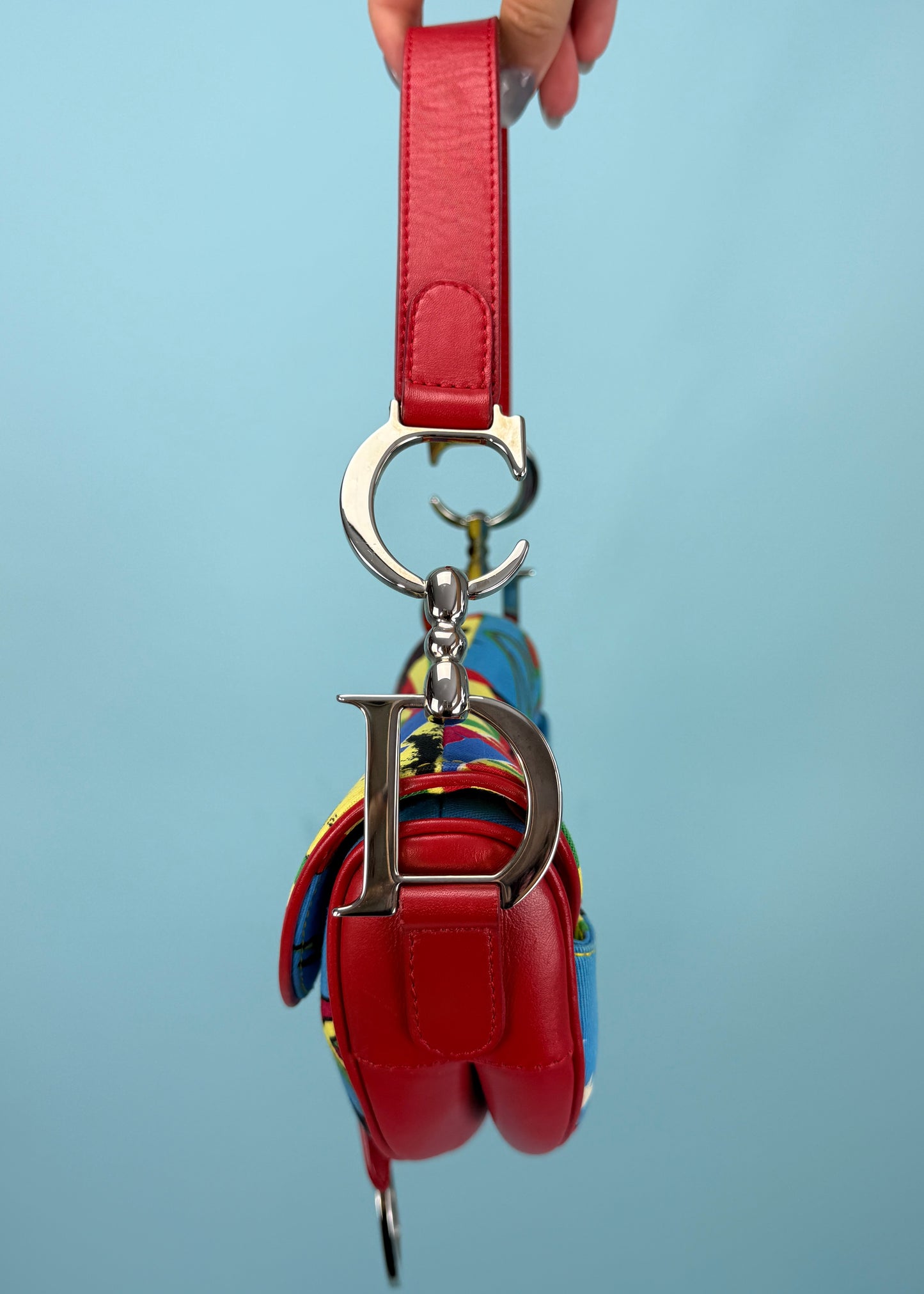 Dior 2003 Bob Marley Mania Saddle Bag
