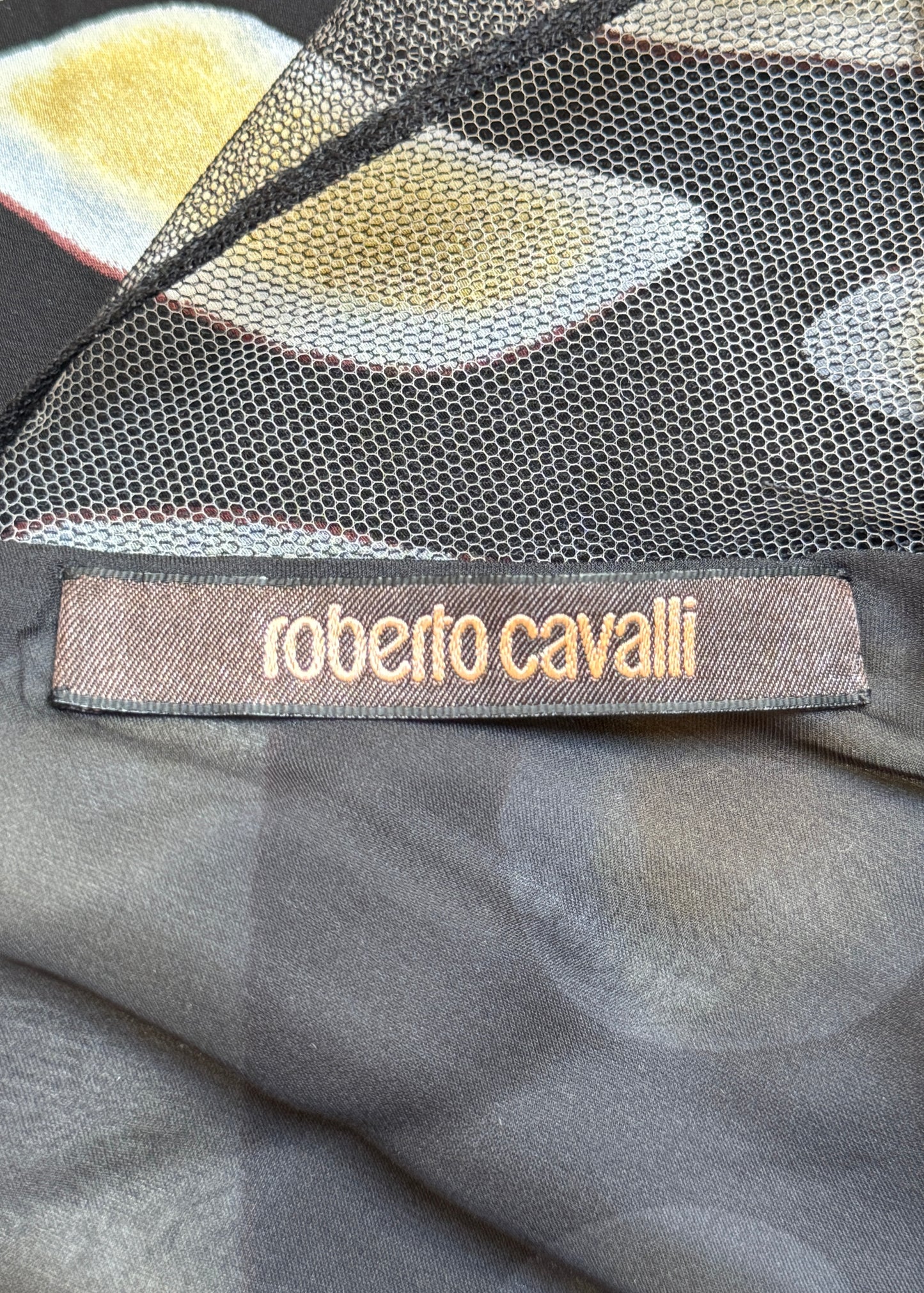 Roberto Cavalli Printed Silk & Mesh Dress