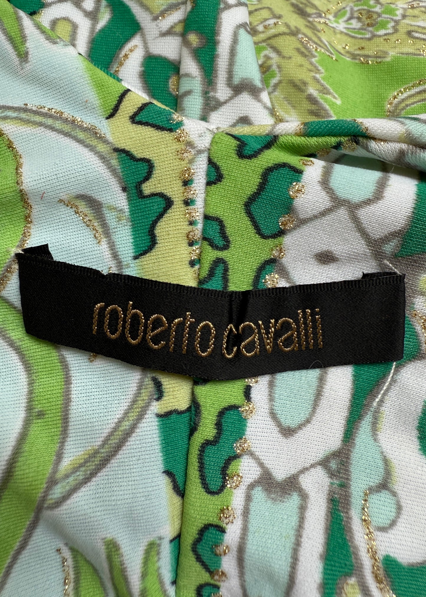 Roberto Cavalli Spring 2006 Green Printed Chiffon Hem Dress