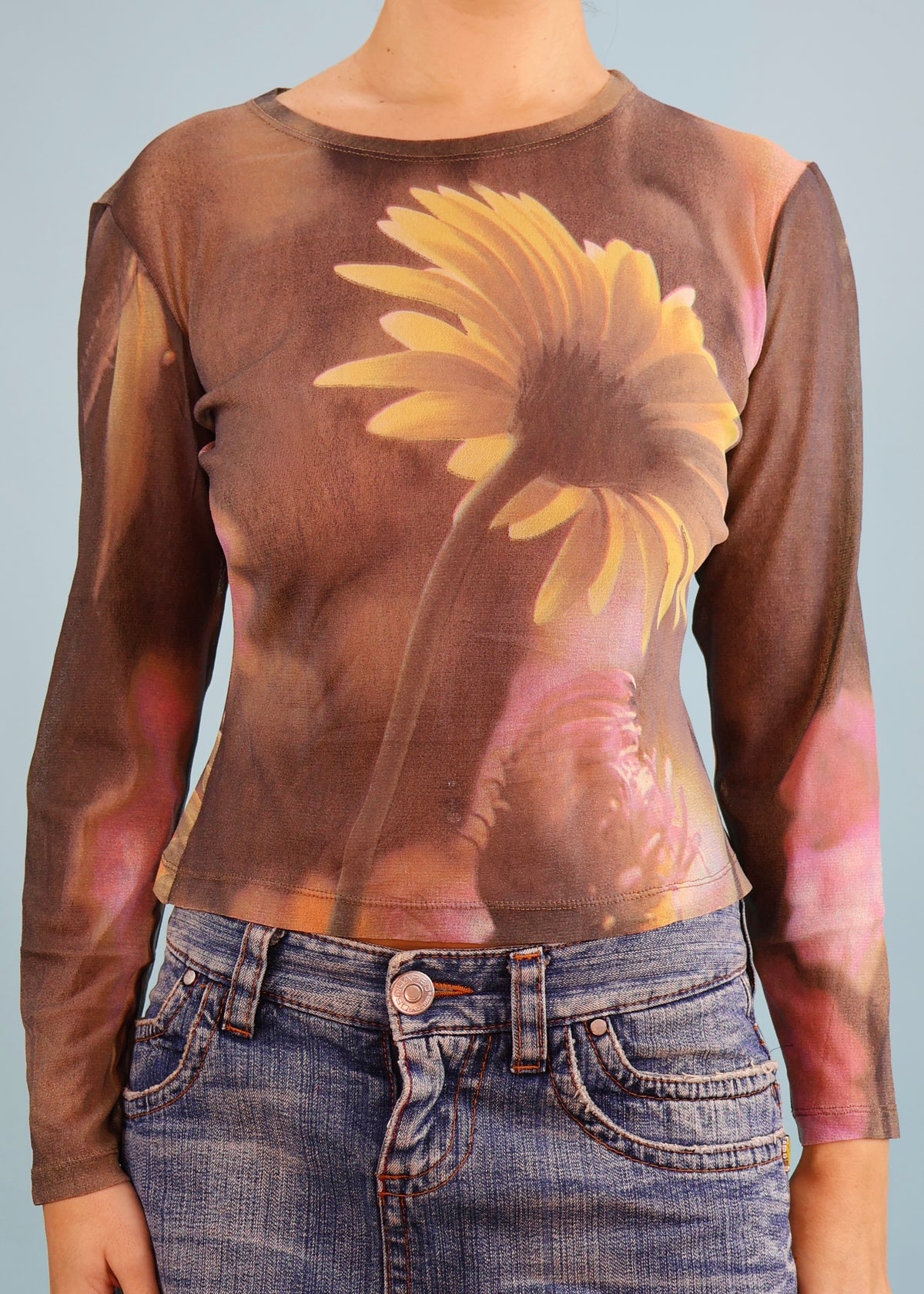 Roberto Cavalli Spring 1999 Daisy Floral Print Mesh Top