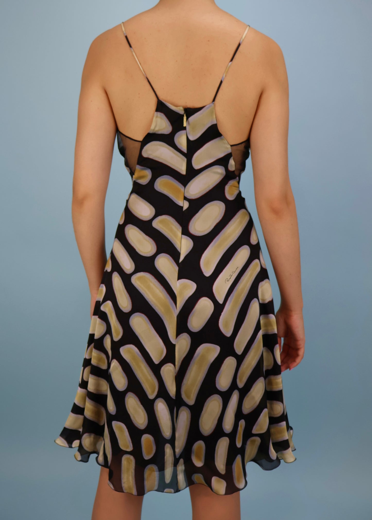 Roberto Cavalli Printed Silk & Mesh Dress