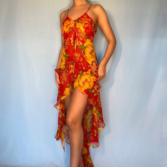 Dolce & Gabbana D&G Floral Silk Chiffon Dress