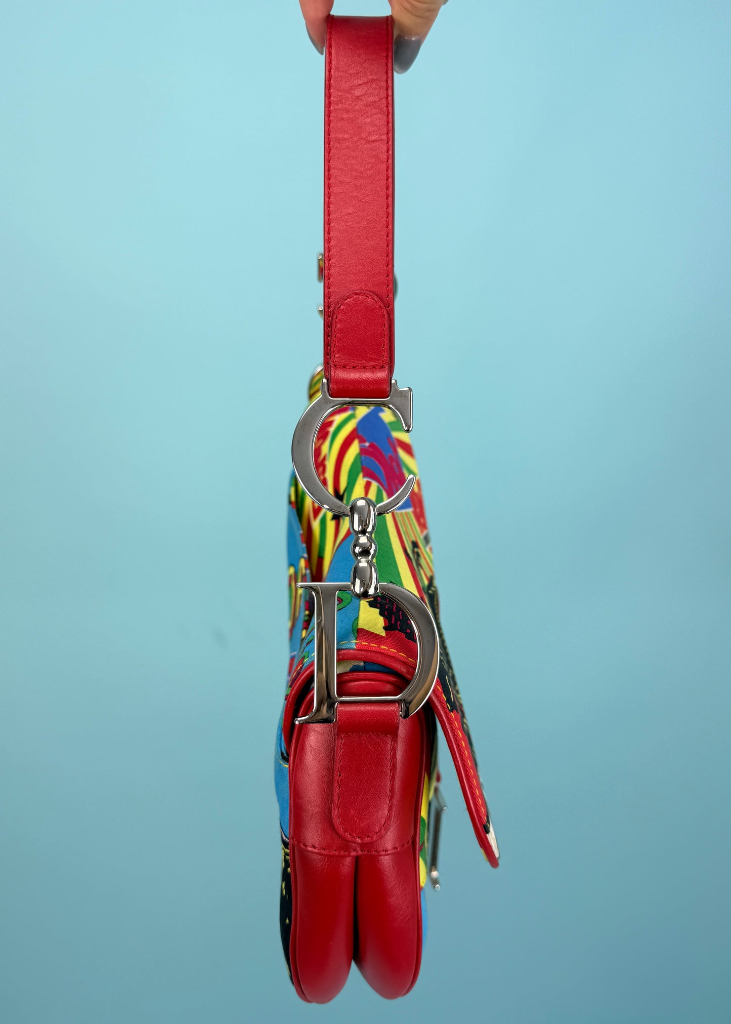 Dior 2003 Bob Marley Mania Saddle Bag