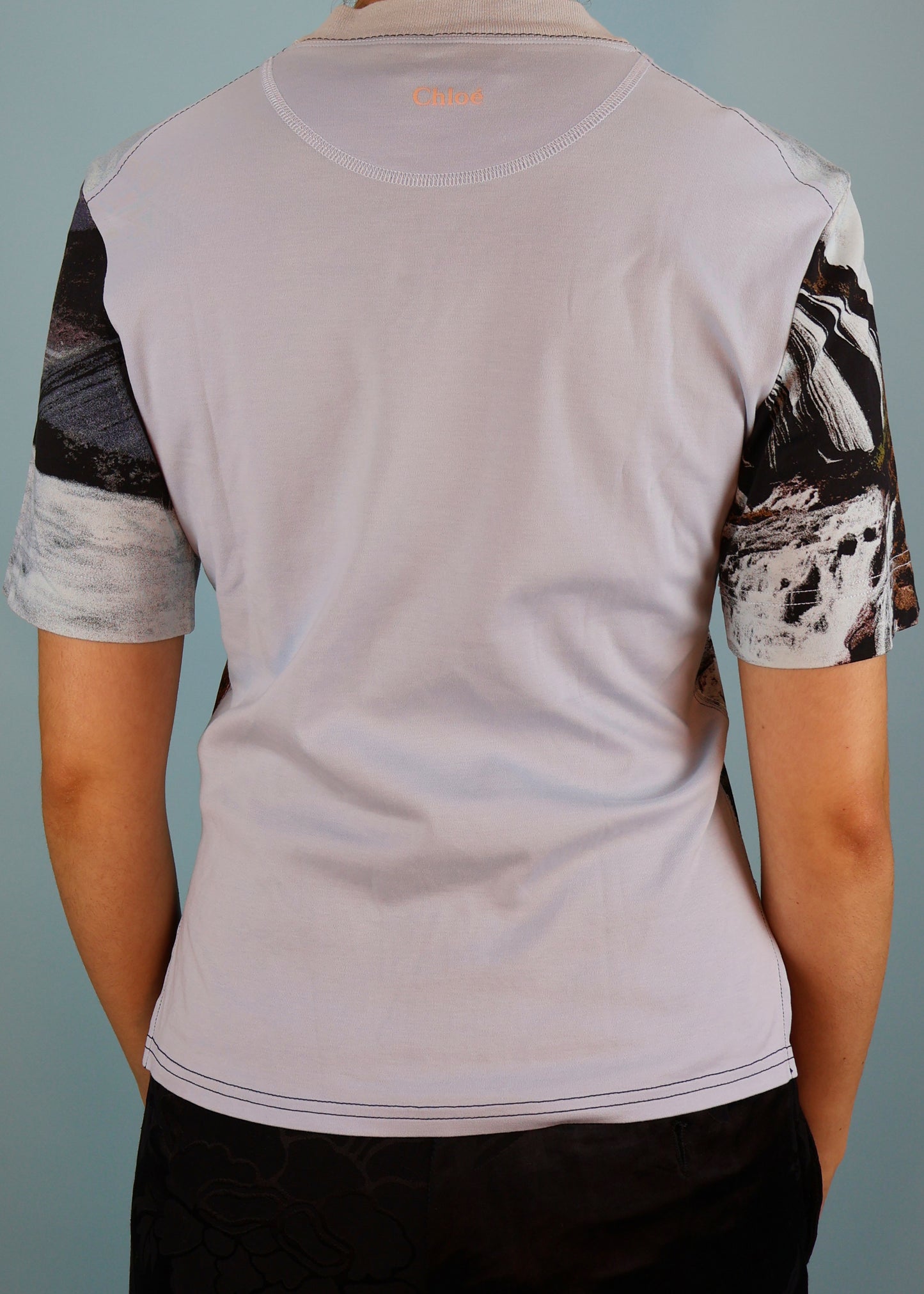 Chloé Fall 2019 Runway Landscape Photo Print T Shirt