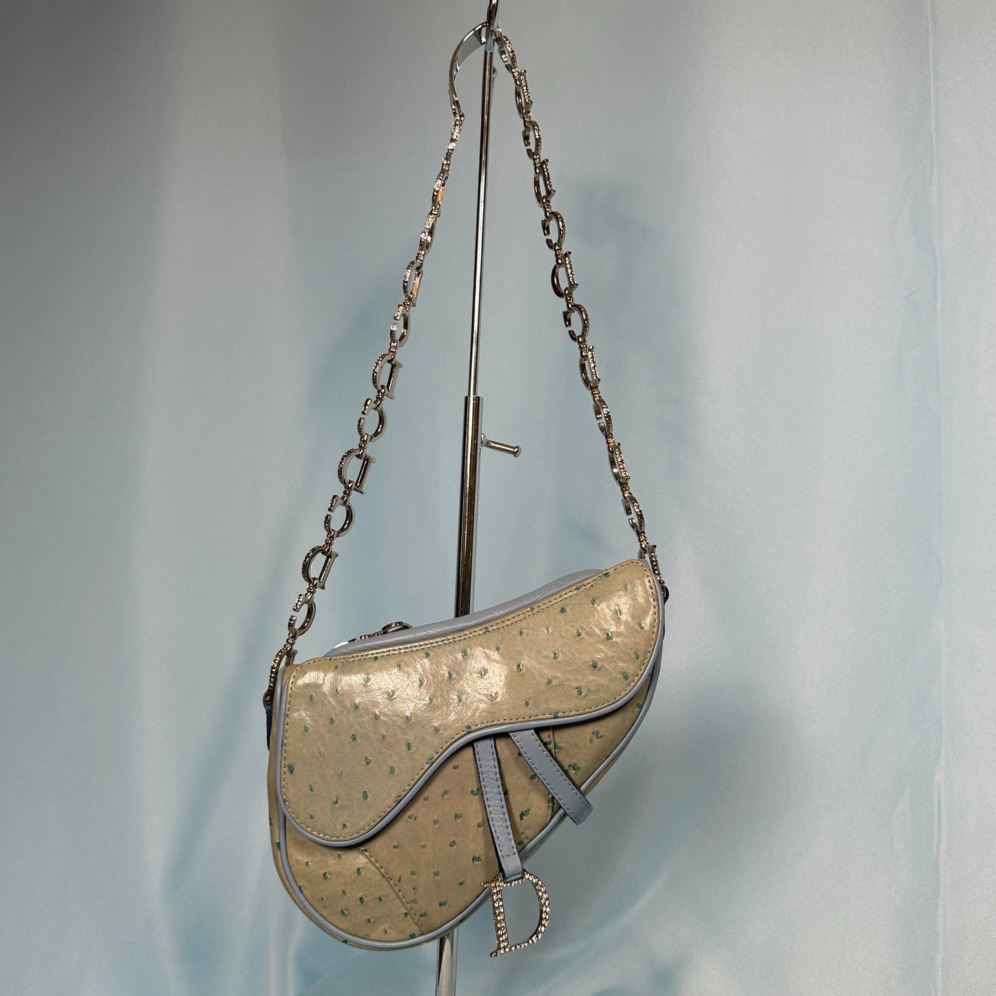 Dior Fall 2000 Blue Ostrich Leather Crystal Strap Saddle Bag